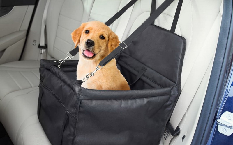 سبد مخصوص نگهداری حیوانات در خودرو سبد مخصوص نگهداری حیوانات در خودرو